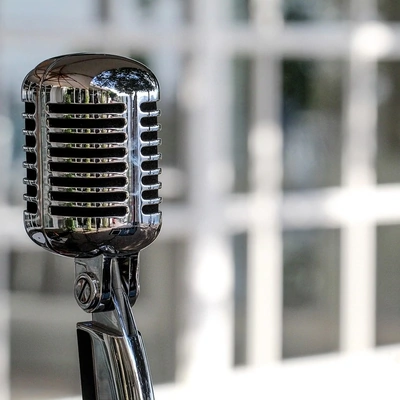 Микрофон Pulsio Cast XLR, динамичен, XLR